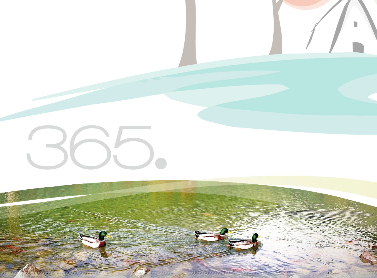 365studio Lago de Anna Web Design Diseño Gráfico Identidad